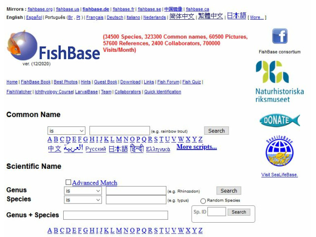 Bild der Website FishBase