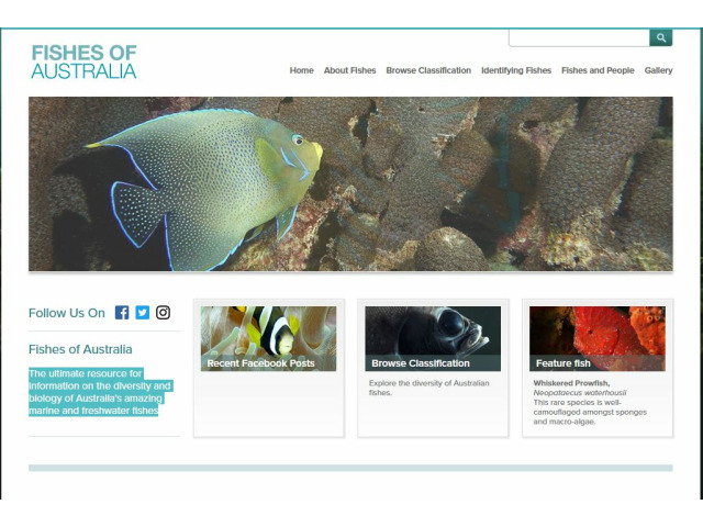 Bild der Website Fishes of Australia