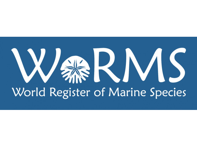 Bild der Website World Register of Marine Species WORMS